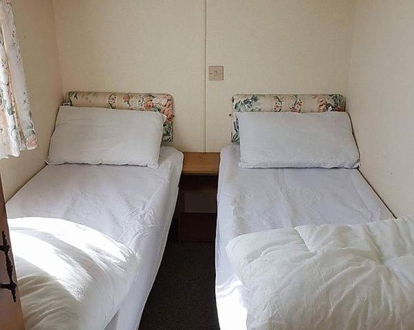 Caravan Golden Palm